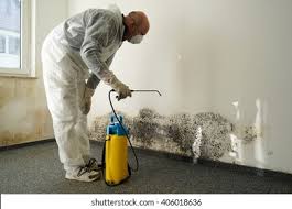 Mold Remediation for Rental Properties